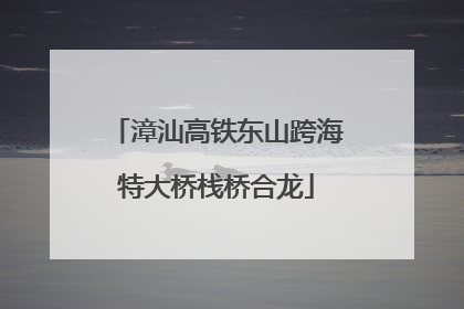 漳汕高铁东山跨海特大桥栈桥合龙