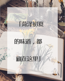 菏泽初夏的味道，都藏在这里