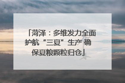 菏泽：多维发力全面护航“三夏”生产 确保夏粮颗粒归仓