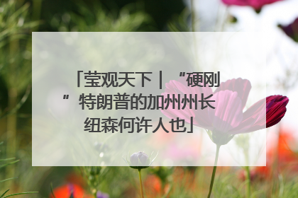 莹观天下｜“硬刚”特朗普的加州州长纽森何许人也