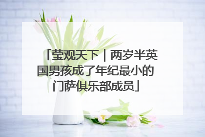 莹观天下｜两岁半英国男孩成了年纪最小的门萨俱乐部成员