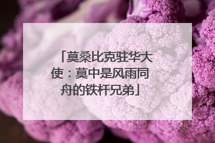 莫桑比克驻华大使：莫中是风雨同舟的铁杆兄弟
