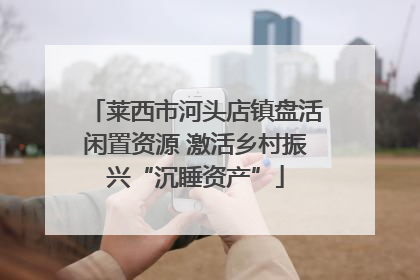 莱西市河头店镇盘活闲置资源 激活乡村振兴“沉睡资产”