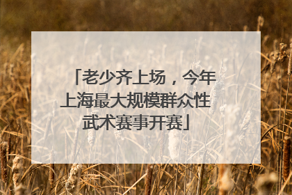老少齐上场，今年上海最大规模群众性武术赛事开赛