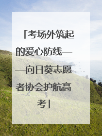 考场外筑起的爱心防线——向日葵志愿者协会护航高考