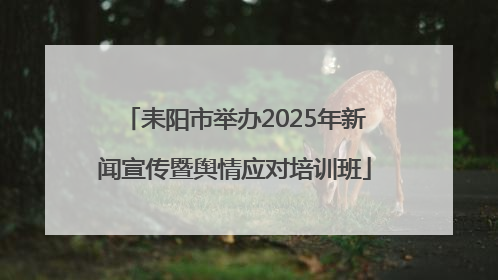 耒阳市举办2025年新闻宣传暨舆情应对培训班