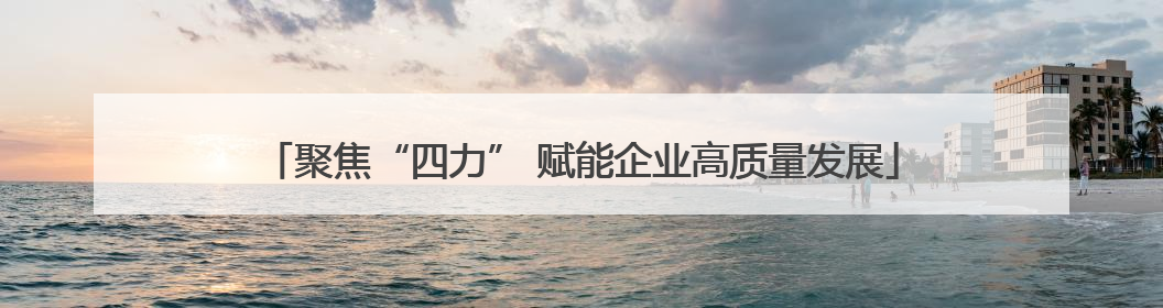 聚焦“四力” 赋能企业高质量发展