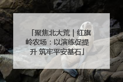 聚焦北大荒｜红旗岭农场：以演练促提升 筑牢平安基石