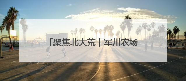 聚焦北大荒｜军川农场：按月核算记“明白账”精打细算“过紧日子”