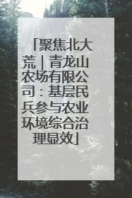 聚焦北大荒｜青龙山农场有限公司：基层民兵参与农业环境综合治理显效