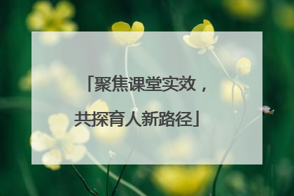 聚焦课堂实效，共探育人新路径