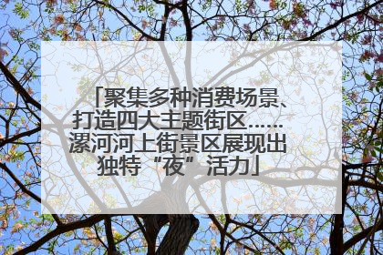 聚集多种消费场景、打造四大主题街区……漯河河上街景区展现出独特“夜”活力