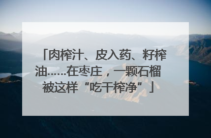 肉榨汁、皮入药、籽榨油……在枣庄，一颗石榴被这样“吃干榨净”