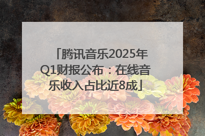 腾讯音乐2025年Q1财报公布：在线音乐收入占比近8成