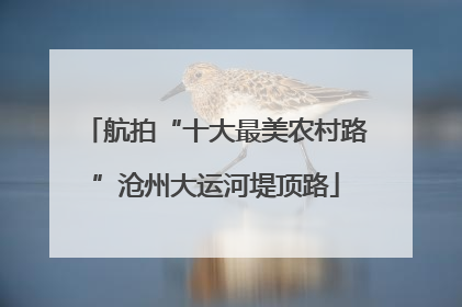 航拍“十大最美农村路”沧州大运河堤顶路