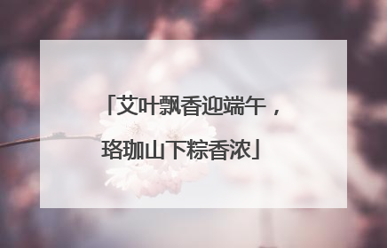 艾叶飘香迎端午，珞珈山下粽香浓