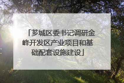 芗城区委书记调研金峰开发区产业项目和基础配套设施建设