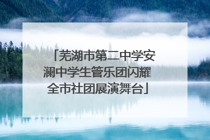 芜湖市第二中学安澜中学生管乐团闪耀全市社团展演舞台