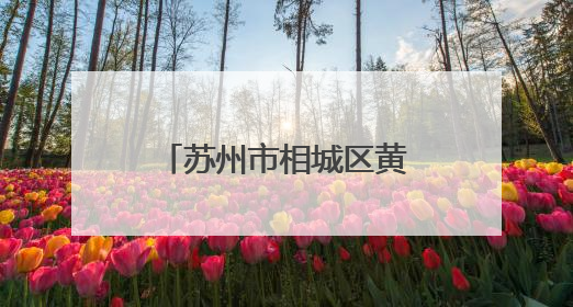 苏州市相城区黄桥街道开展“签约有感，健康可及”家庭医生签约服务主题宣传月活动
