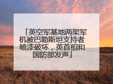英空军基地两架军机被巴勒斯坦支持者喷漆破坏，英首相和国防部发声