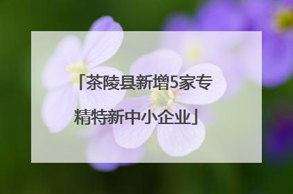 茶陵县新增5家专精特新中小企业