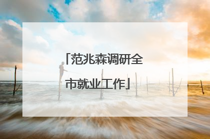 范兆森调研全市就业工作