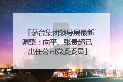茅台集团领导层最新调整：向平、张贵超已出任公司党委委员