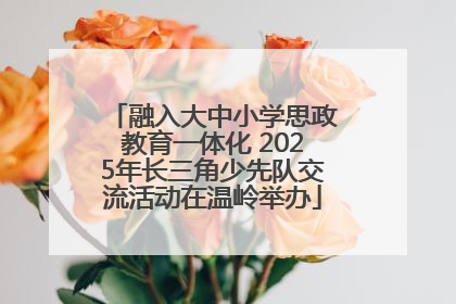 融入大中小学思政教育一体化 2025年长三角少先队交流活动在温岭举办