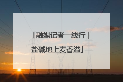 融媒记者一线行｜盐碱地上麦香溢