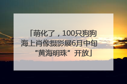 萌化了，100只狗狗海上肖像摄影展6月中旬“黄海明珠”开放