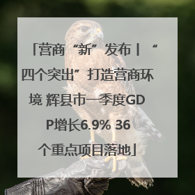 营商“新”发布丨“四个突出”打造营商环境 辉县市一季度GDP增长6.9% 36个重点项目落地
