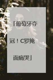 葡萄牙夺冠！C罗掩面痛哭