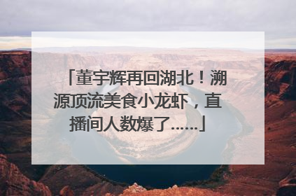 董宇辉再回湖北！溯源顶流美食小龙虾，直播间人数爆了……
