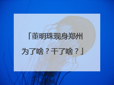 董明珠现身郑州 为了啥？干了啥？