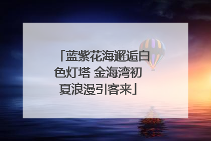 蓝紫花海邂逅白色灯塔 金海湾初夏浪漫引客来