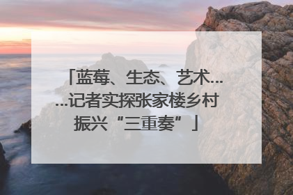 蓝莓、生态、艺术……记者实探张家楼乡村振兴“三重奏”