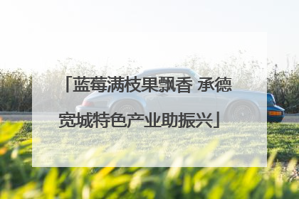 蓝莓满枝果飘香 承德宽城特色产业助振兴