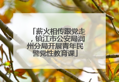 薪火相传跟党走，镇江市公安局润州分局开展青年民警党性教育课