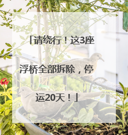 请绕行！这3座浮桥全部拆除，停运20天！