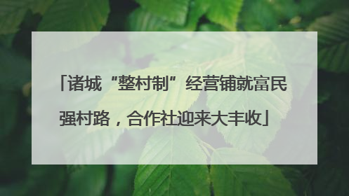 诸城“整村制”经营铺就富民强村路，合作社迎来大丰收