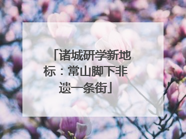 诸城研学新地标：常山脚下非遗一条街
