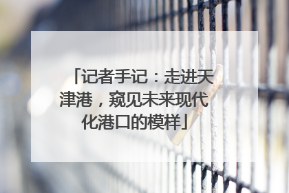 记者手记：走进天津港，窥见未来现代化港口的模样