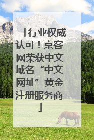 行业权威认可！京客网荣获中文域名“中文网址”黄金注册服务商