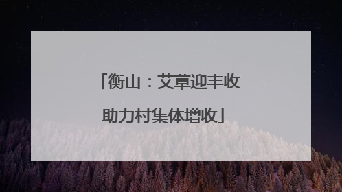 衡山：艾草迎丰收 助力村集体增收