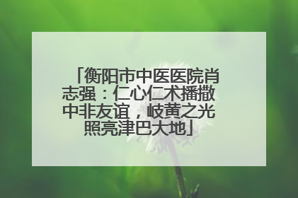 衡阳市中医医院肖志强：仁心仁术播撒中非友谊，岐黄之光照亮津巴大地