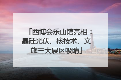 西博会乐山馆亮相：晶硅光伏、核技术、文旅三大展区吸睛