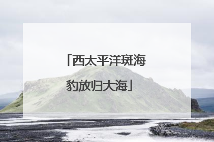西太平洋斑海豹放归大海