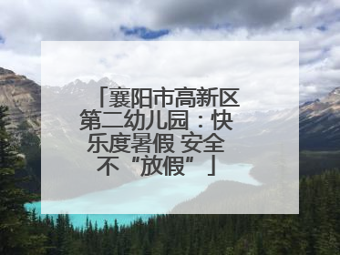 襄阳市高新区第二幼儿园：快乐度暑假 安全不“放假”