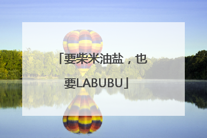 要柴米油盐，也要LABUBU