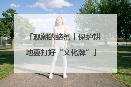 观潮的螃蟹丨保护耕地要打好“文化牌”